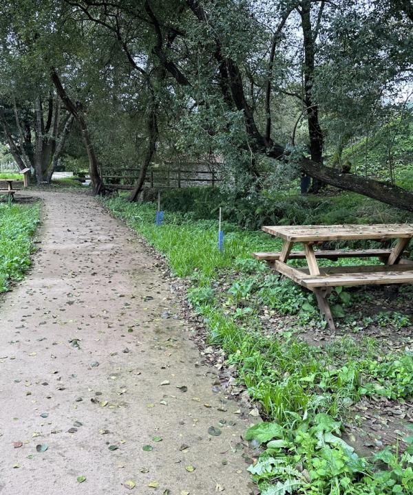 Senda Fluvial del Río Pintillón (Sanxenxo - Pontevedra)