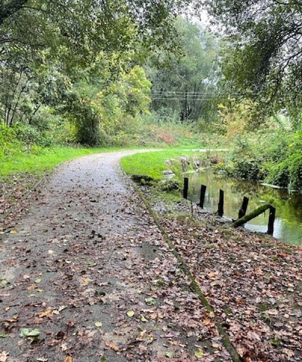 Sendero Fluvial del río Louro (Mos)