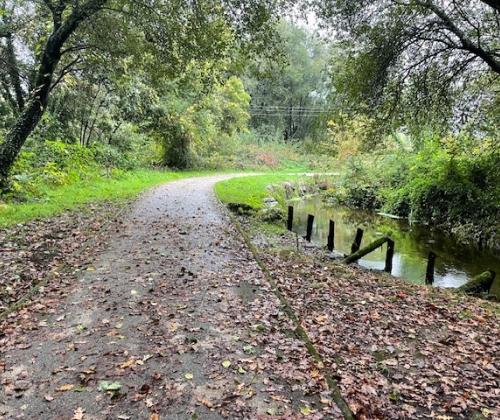 Sendero Fluvial del río Louro (Mos)
