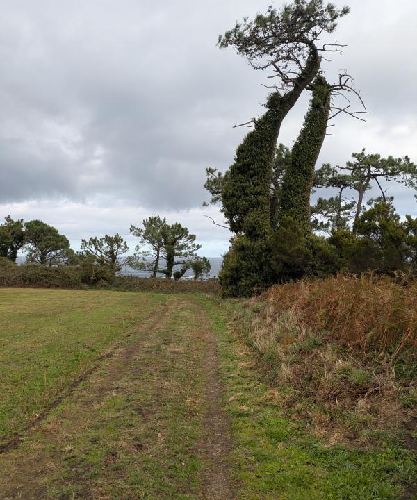 Senda Costera Castello - Porcía (El Franco)