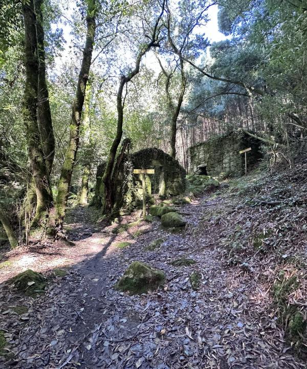 Ruta dos Muíños de Samieira (Poio - Pontevedra)