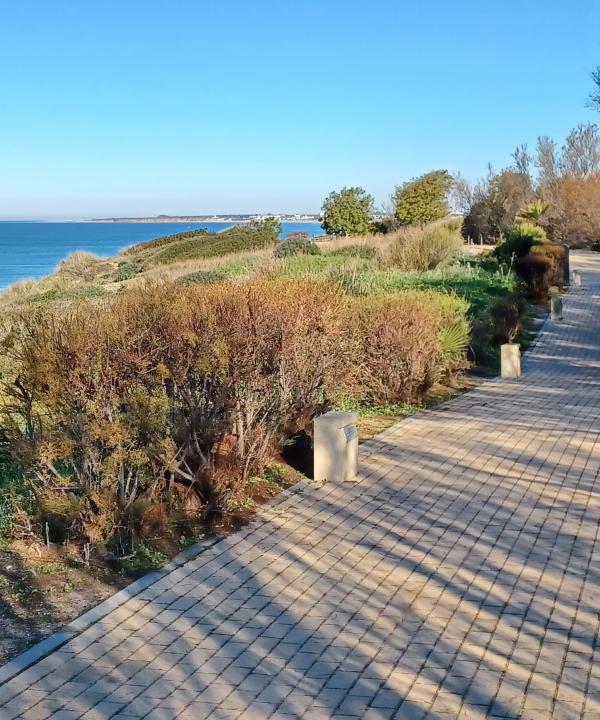 Sendero Novo Sancti Petri (Chiclana de la Frontera - Cádiz)