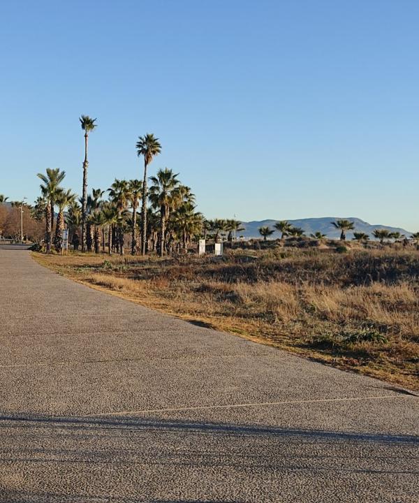 Sendero Azul Parque Litoral Playa del Pinar (Castellón de la Plana - Castellón)