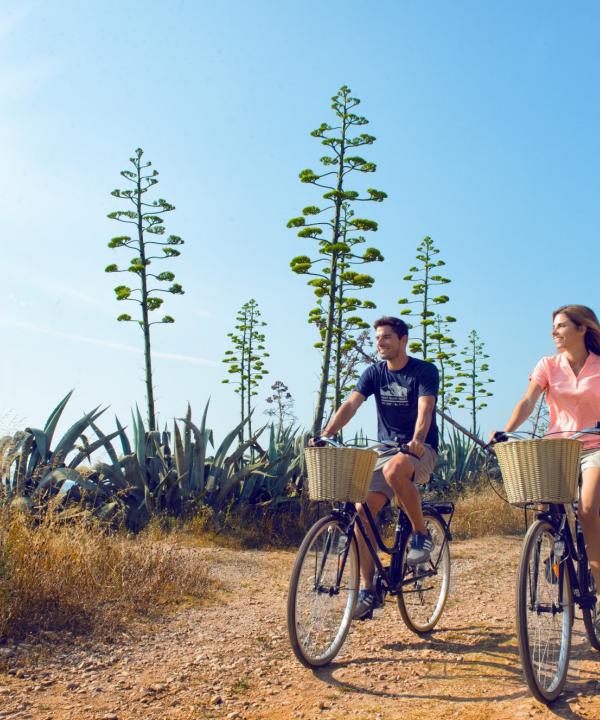 Sender del Jardí de Sol de Riu (Vinarós - Castellón)