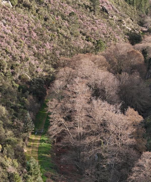 Sendero Desfiladero del Ruecas