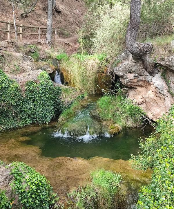 Sendero Fluvial Las Fuentes (Manzanera - Torrijas)