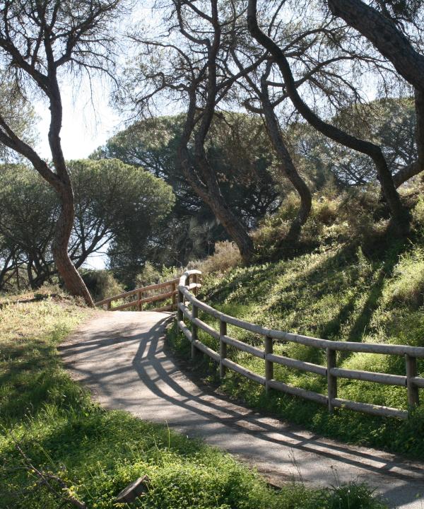 Sendero Enebrales de Punta Umbría