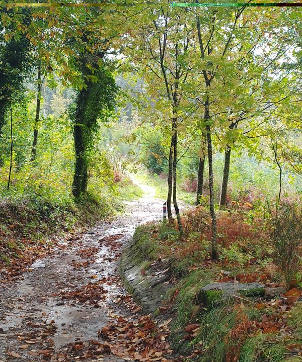 Sendeiro local de Saiáns (Vigo)