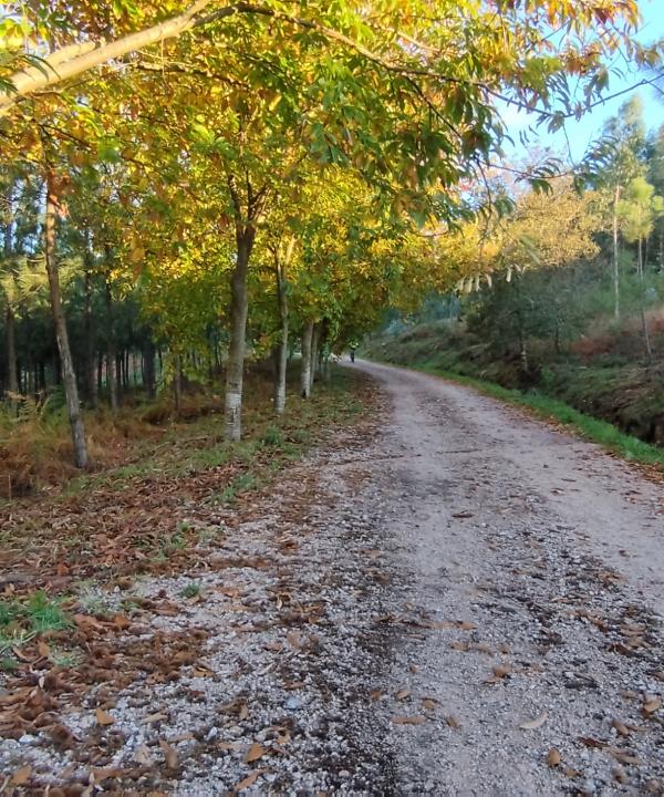 Sendeiro local de Oia (Vigo)