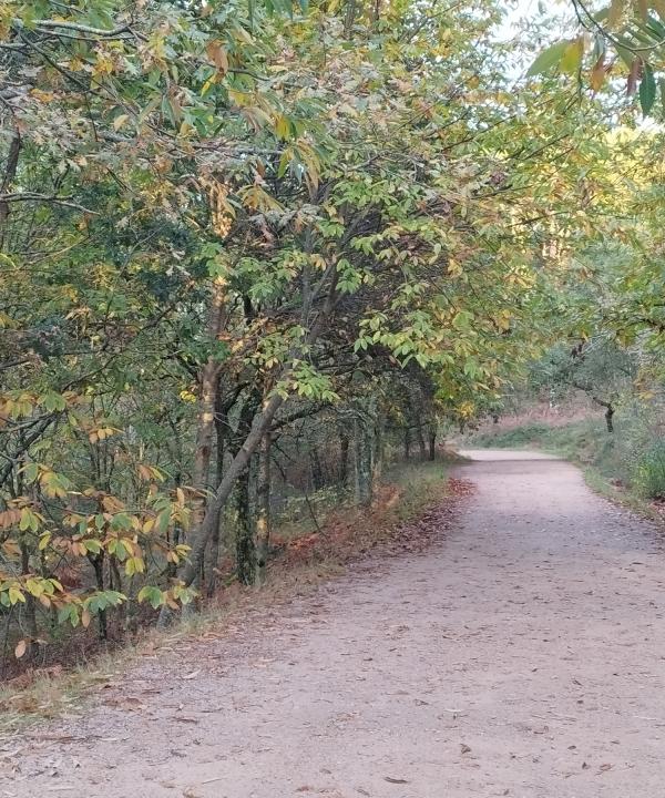 Sendeiro Local de Coruxo (Vigo)