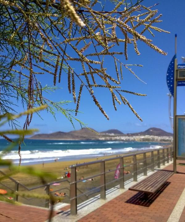 Bahía de El Confital - playa de Las Canteras (Las Palmas de Gran Canaria - Las Palmas)