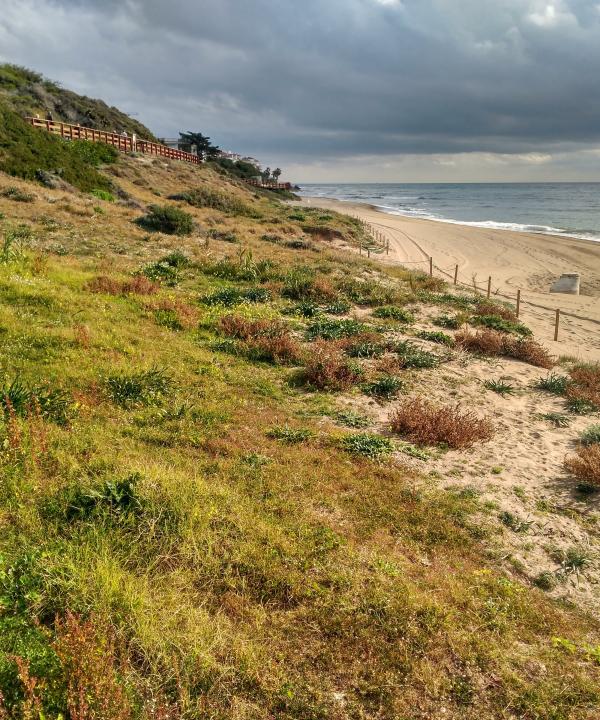 Senda Litoral de Mijas (Málaga)