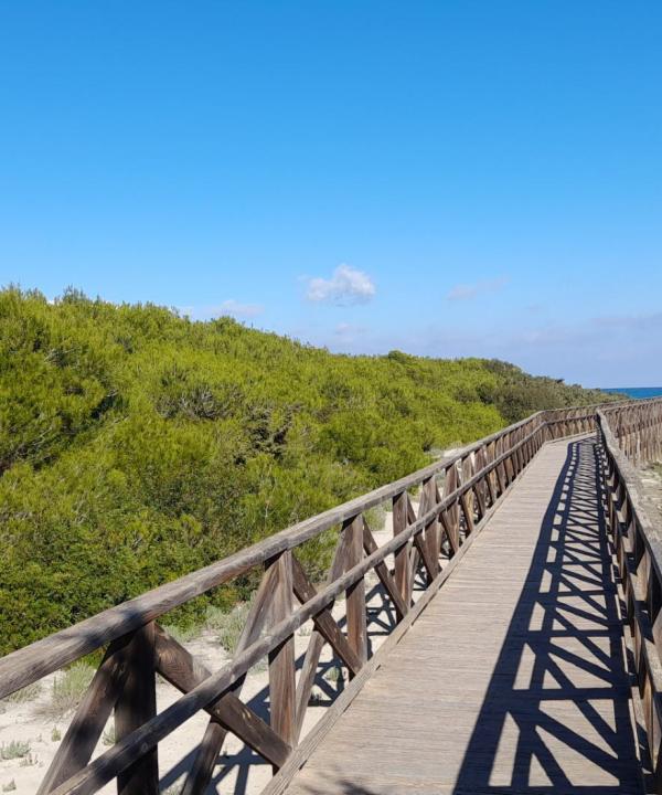 Camí des Comú (Muro - Illes Balears)