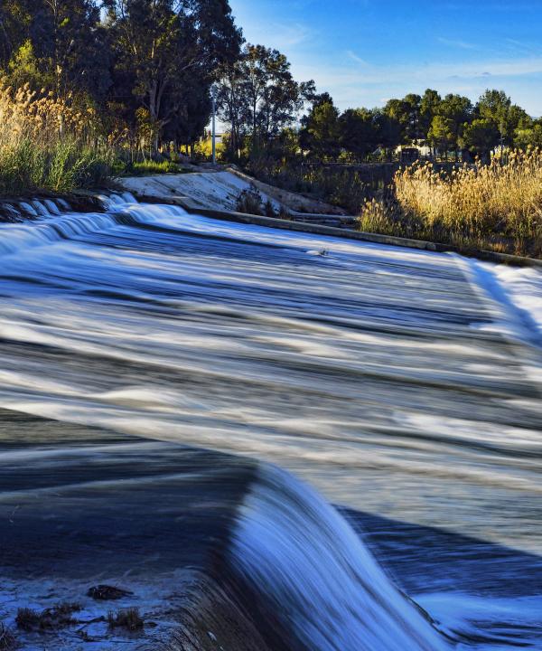 Paseo Fluvial del Río segura - Contraparada (Murcia)