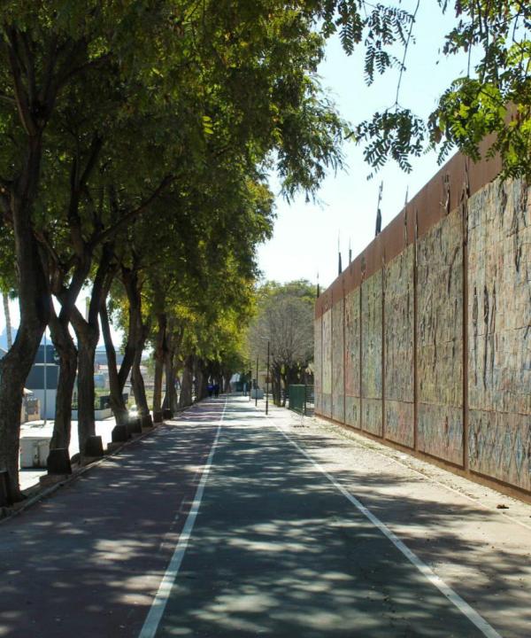 Sendero Saludable Carril Bici Ceutí