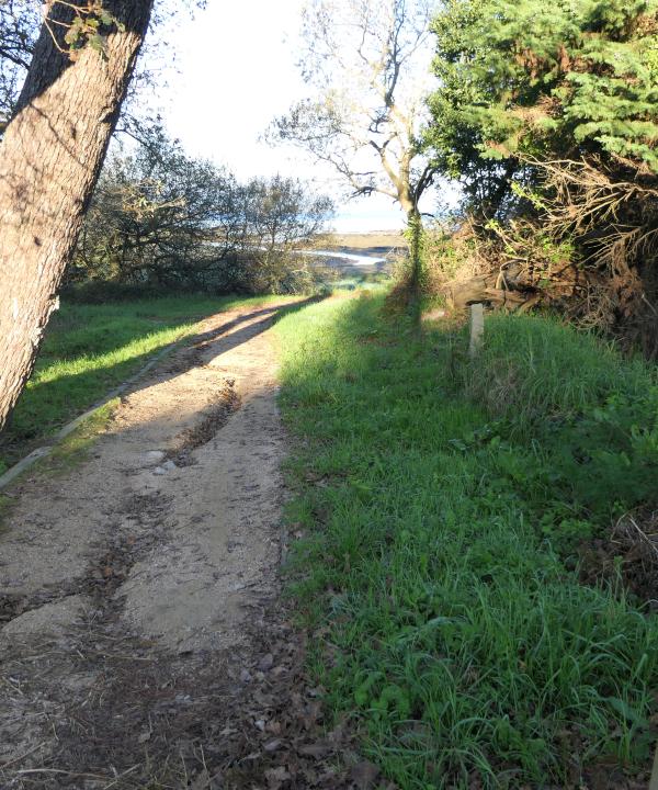 Senda Marinera de Vilagarcía (Vilagarcía de Arousa - Pontevedra)