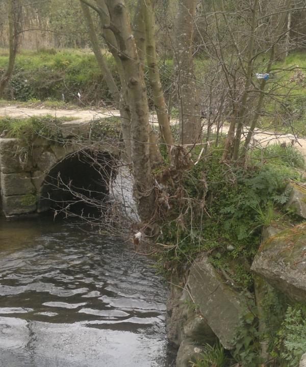 Senda de ribera y litoral: Camiño á Beiramar (Vigo - Pontevedra)