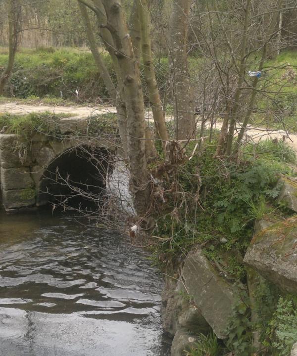 Senda de ribera do Río Lagares (Vigo)