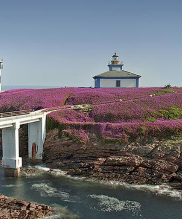 Ruta do Faro de Illa Pancha a As Aceas (Ribadeo - Lugo)