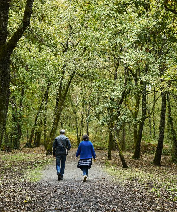 Sendero Termal y de Salud de Laias (Cenlle)