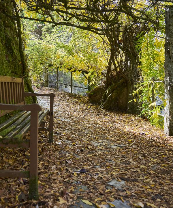 Sendero Termal y de Salud de O Carballiño