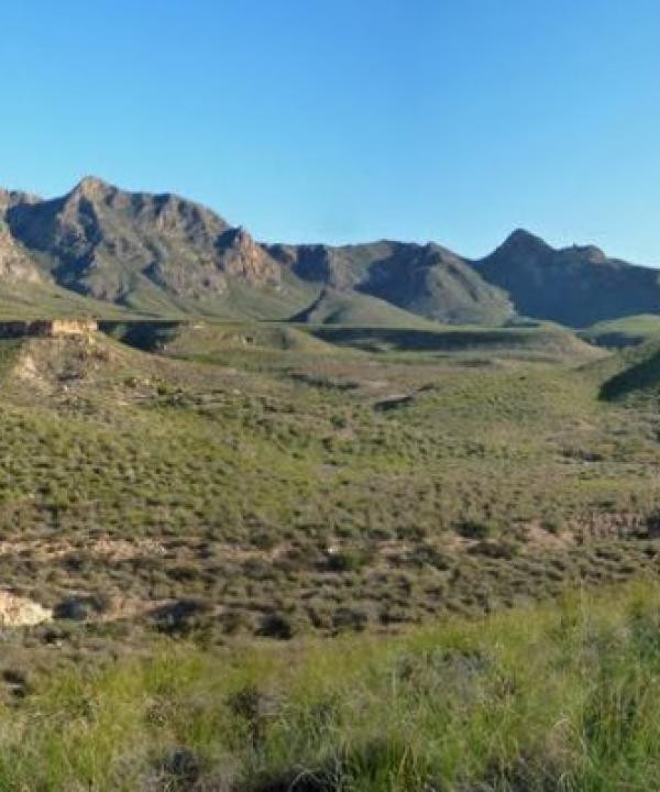 Variante Calas de Bolnuevo - Sierra de las Moreras (Mazarrón)