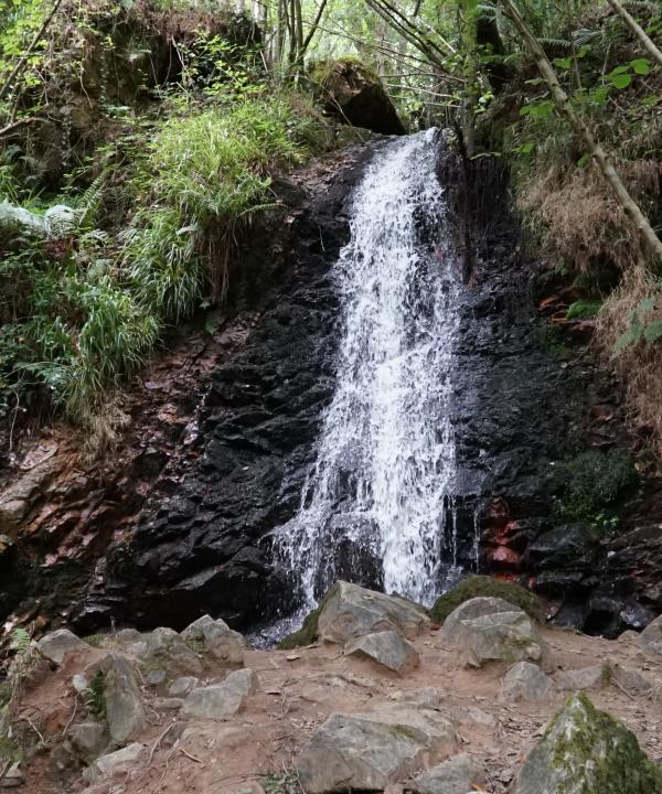 Sendero Cascada del Nonaya