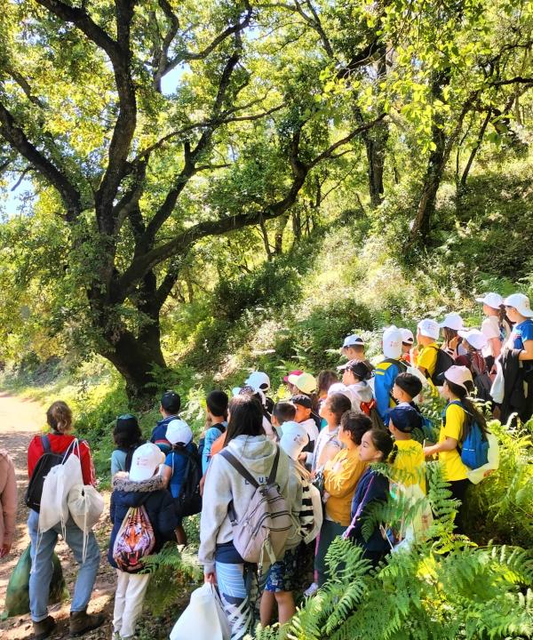 Arroyo de la Alhaja (San Roque)