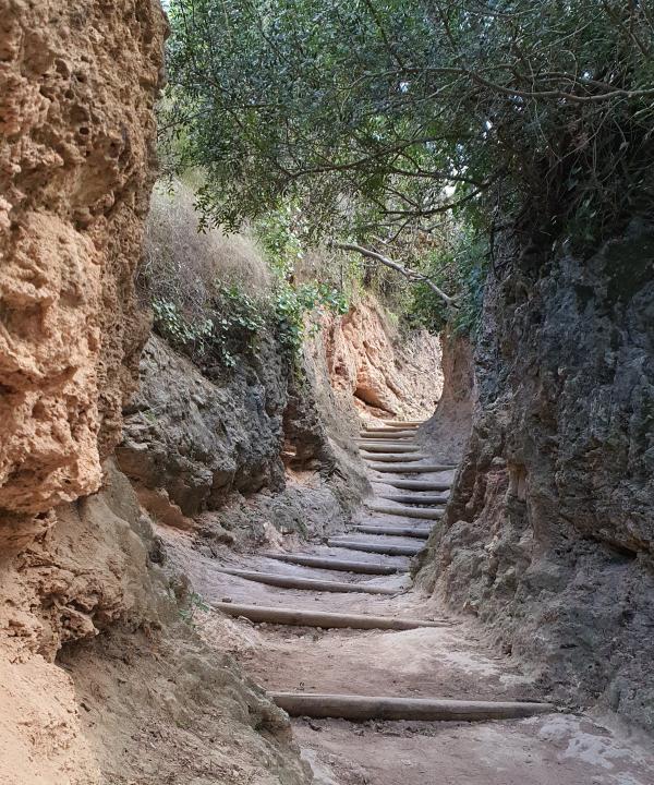 Sendero de Los Chorradores Navarrés