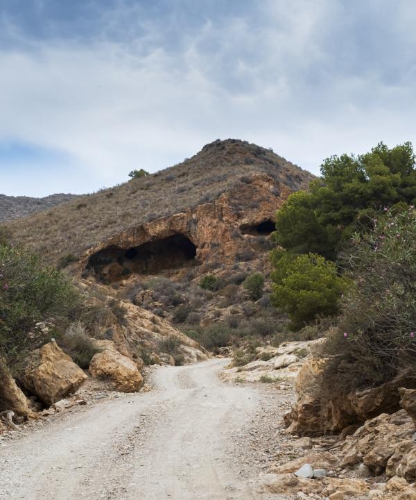 Sendero El Alamillo - La Alameda - Las Balsicas (Mazarrón)