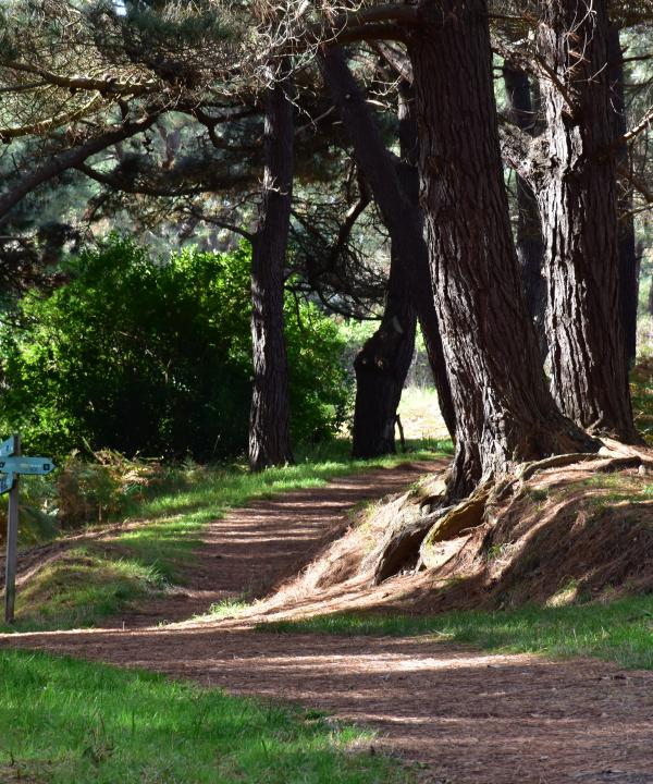 Sendero Seixo Branco-Furnas (Oleiros - A Coruña)