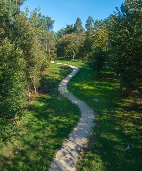 Sendero del Bosque Xaz (Oleiros - A Coruña)