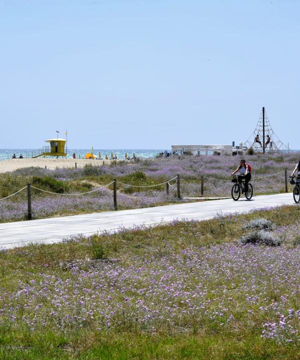 Sendero de Las Dunas (Castelldefels)