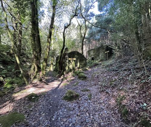 Ruta dos Muíños de Samieira (Poio - Pontevedra)