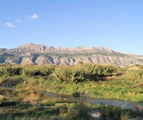 Sender fluvial Zona humida de la desembocadura del riu Algar (Altea)