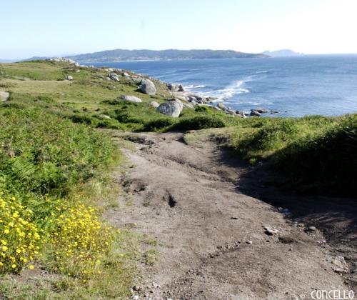 Sendero de Cabo Udra (Bueu - Pontevedra)