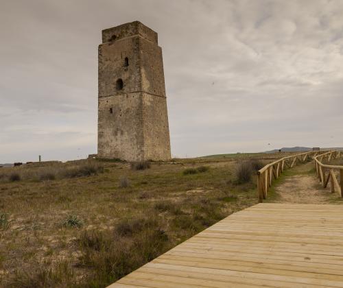 Sendero Prado de Castilnovo (Conil de la Frontera - Cádiz)