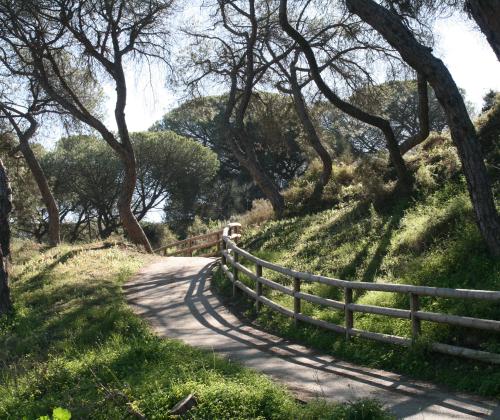 Sendero Enebrales de Punta Umbría