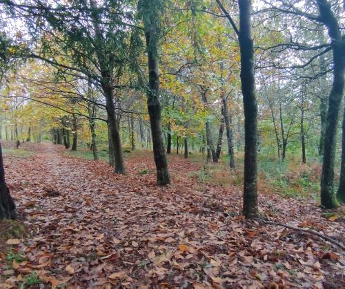 Sendeiro local de Candeán (Vigo)