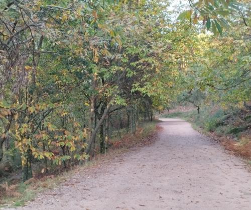 Sendeiro Local de Coruxo (Vigo)