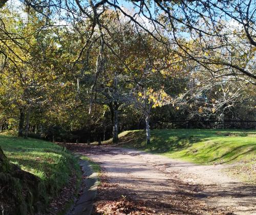 Sendeiro Local Bembrive - Beade (Vigo)