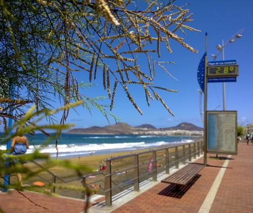 Bahía de El Confital - playa de Las Canteras (Las Palmas de Gran Canaria - Las Palmas)