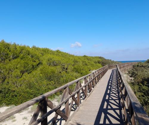 Camí des Comú (Muro - Illes Balears)