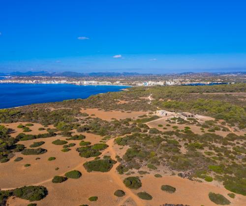 Sa Punta de n'Amer (Sant Llorenç des Cardassar - Illes Balears)