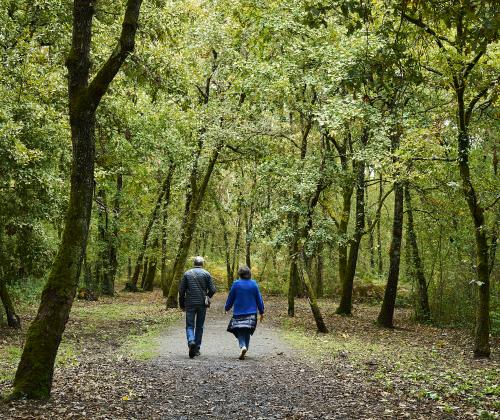 Sendero Termal y de Salud de Laias (Cenlle)