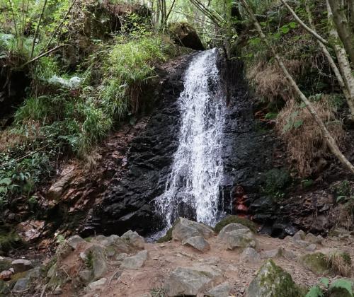 Sendero Cascada del Nonaya