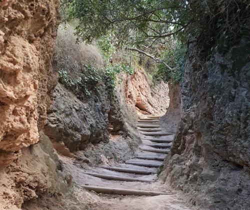 Sendero de Los Chorradores Navarrés