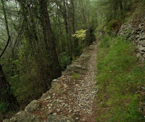 Sendero Azul Masboquera - Castelló