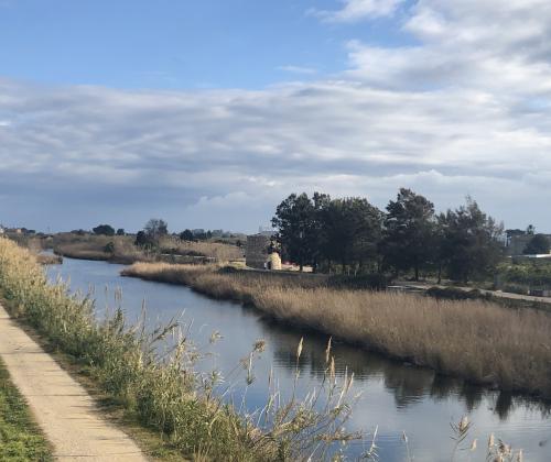 Turisme en Familia pel Vaca (Xeraco - Valencia)