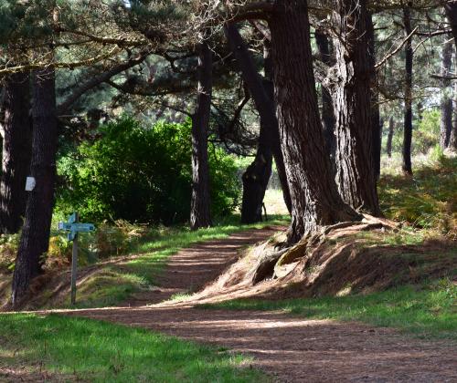 Sendero Seixo Branco-Furnas (Oleiros - A Coruña)